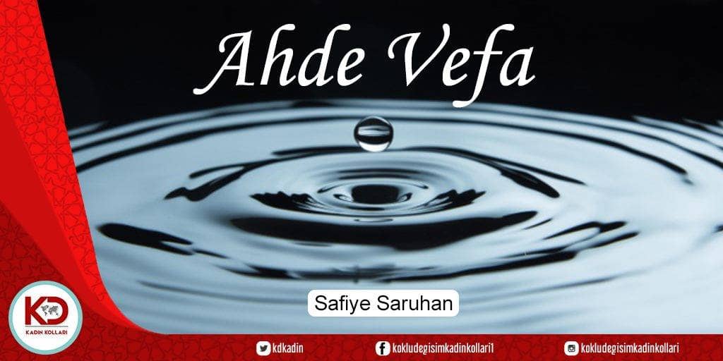 AHDE VEFA