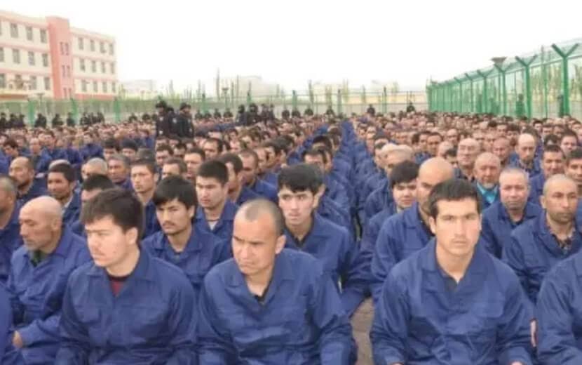 Çin Zulmünü, Türk Gazetecilerle Aklama Projesi