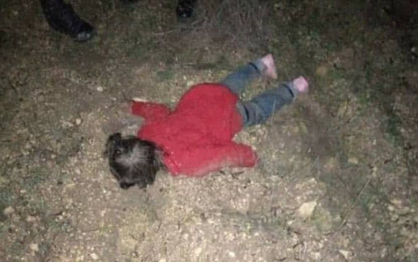 Körpeler Donuyor Taş Kalpler Üşümüyor