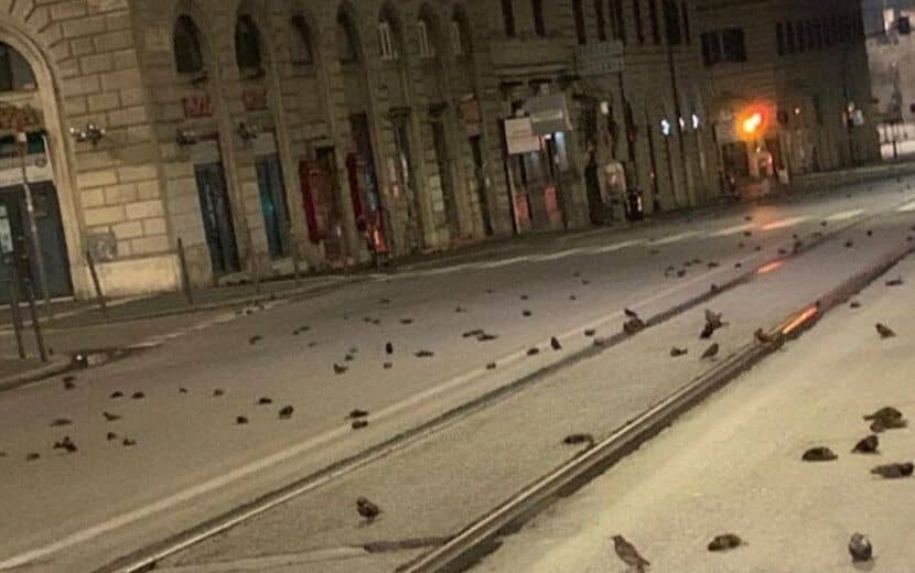 İtalya’da Yılbaşı Katliamı: 400 Hayvan Öldü