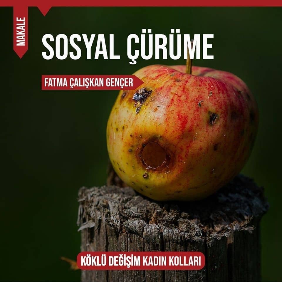 SOSYAL ÇÜRÜME