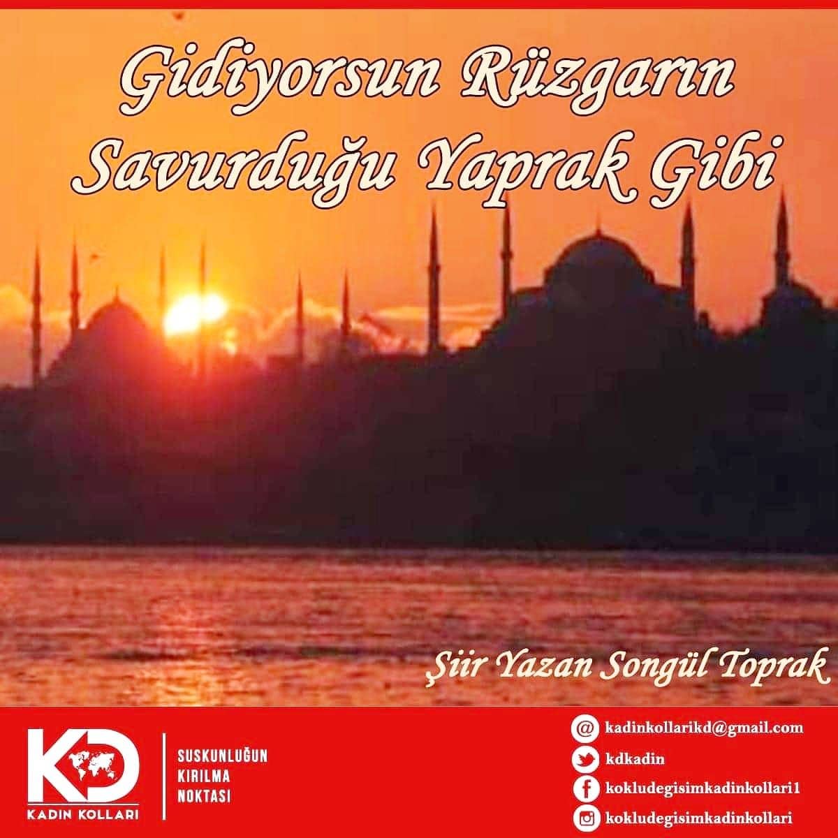 Gidiyorsun rüzgârın savurduğu yaprak gibi,