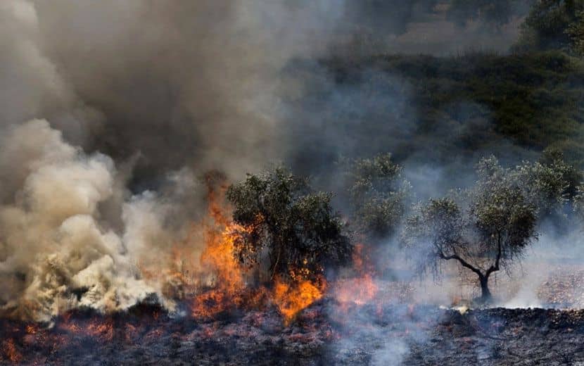 İşgalci “İsrail”, Katliama, Yakıp Yıkmaya Devam Ediyor 