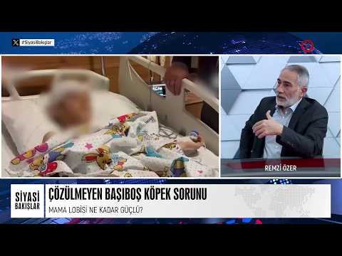 BAŞIBOŞ KÖPEK SORUNU NEDEN ÇÖZÜLMÜYOR?