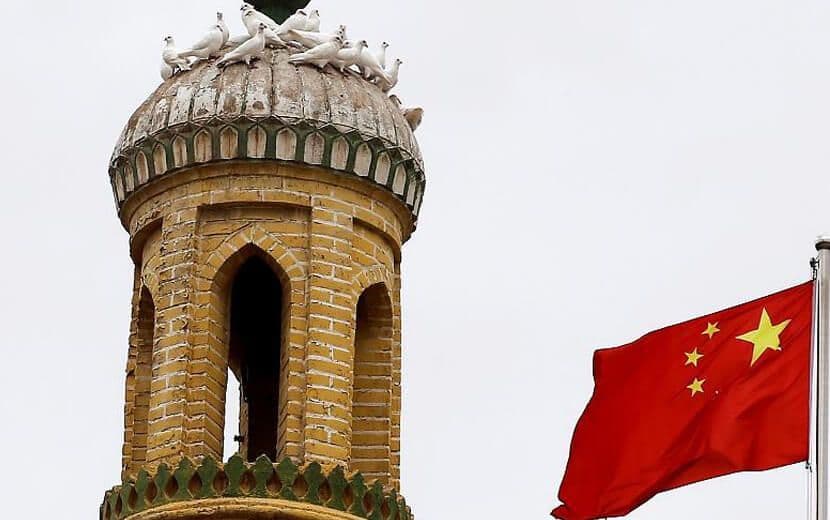 Çin Kimyasallarla Kısırlaştırıyor, Öldürüyor