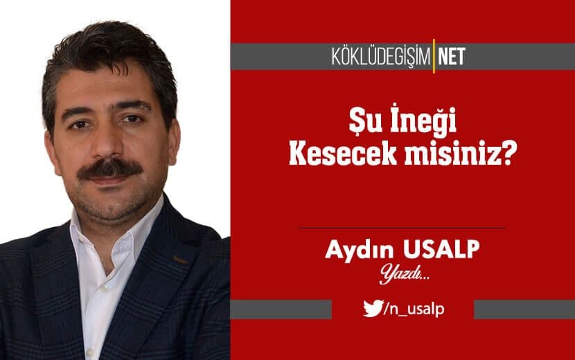 Şu İneği Kesecek misiniz?