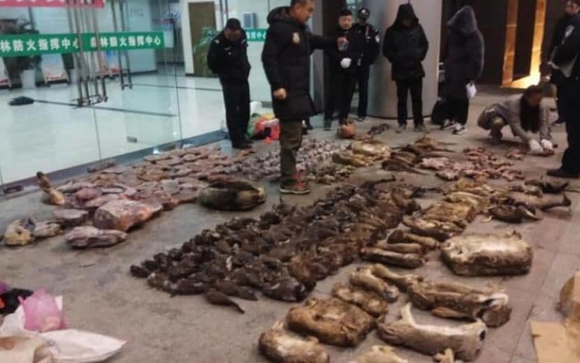 Çin’de “Vahşi Hayvan Pazarları” Yeniden Açıldı!