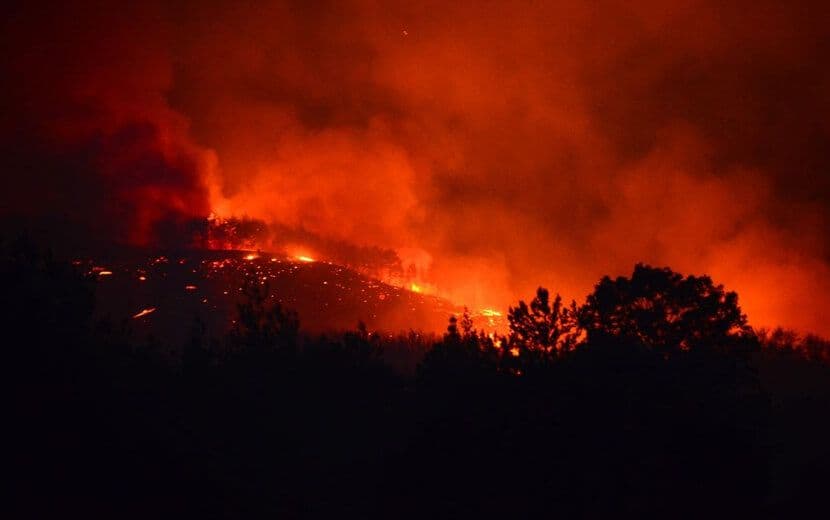 Adana’da Orman Yangını: 200 Hektar Zarar Gördü