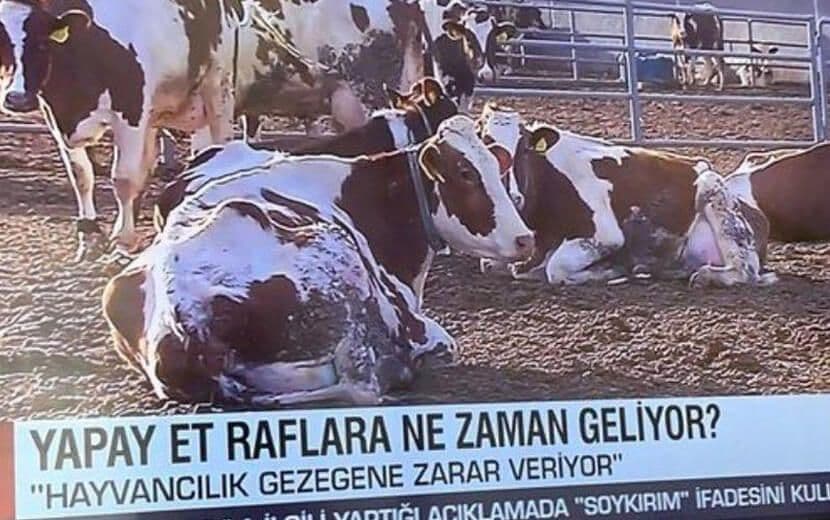 Yapay Et Rezaleti: Türkiye Medyası Bill Gates’in İzinde