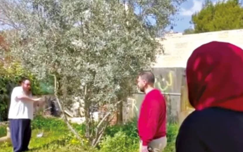 İşgalci Yahudi’nin İtirafı: “Evini Ben Çalmasam Başkası Çalacak”