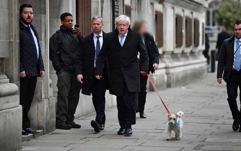 İngiltere, Afganistan’dan Önce Hayvanları Sonra İnsanları Tahliye Etti