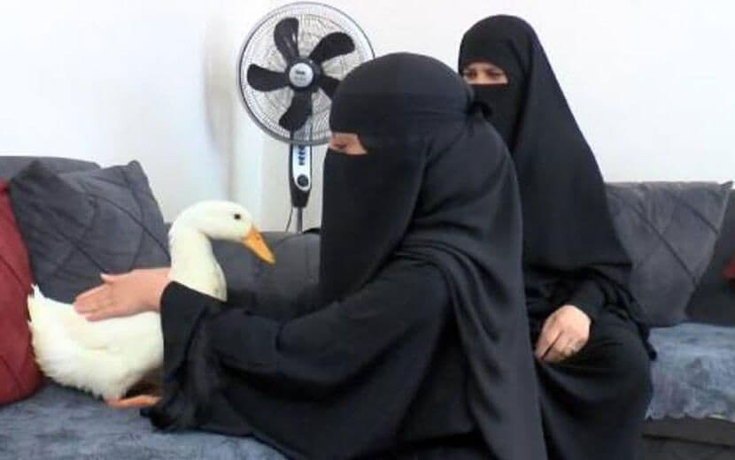 Kemalist Irkçıların “Suriyeliler Kazları Çaldı” Yalanı Deşifre Edildi