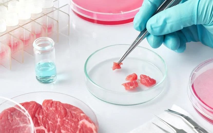 Kapitalizmin Yapay Et Oyunu: ABD Tüketime Onay Verdi 