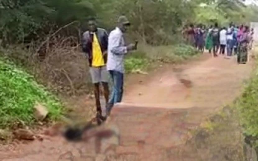 Zambiya’da 27 Göçmenin Cesedi Yol Kenarında Bulundu