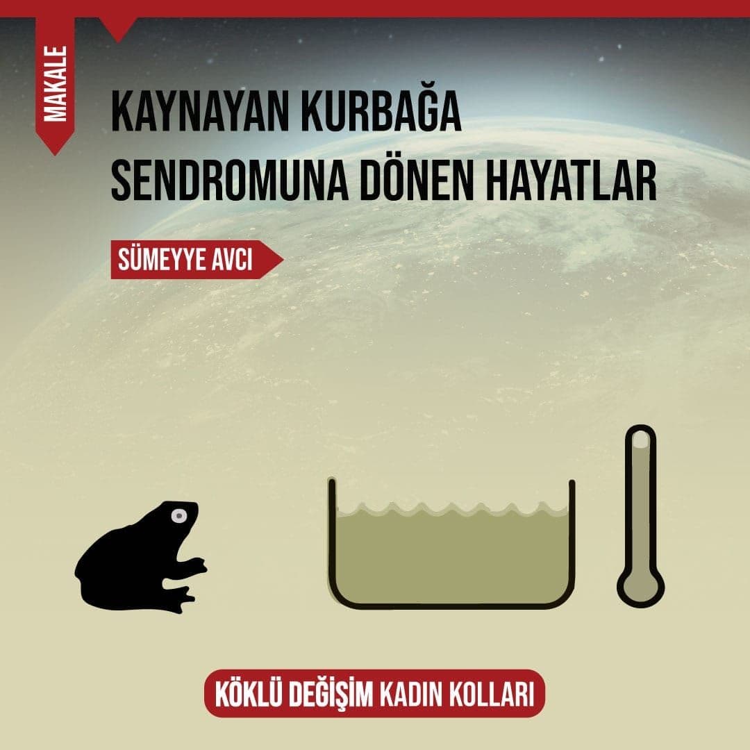 KAYNAYAN KURBAĞA SENDROMUNA DÖNEN HAYATLAR