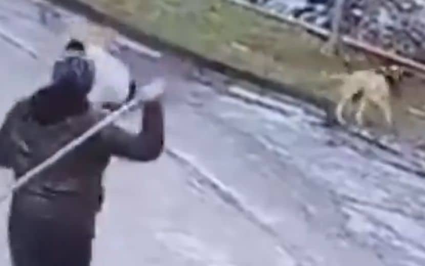 Ankara’da Bir Çocuk Daha Köpeklerin Saldırısına Uğradı