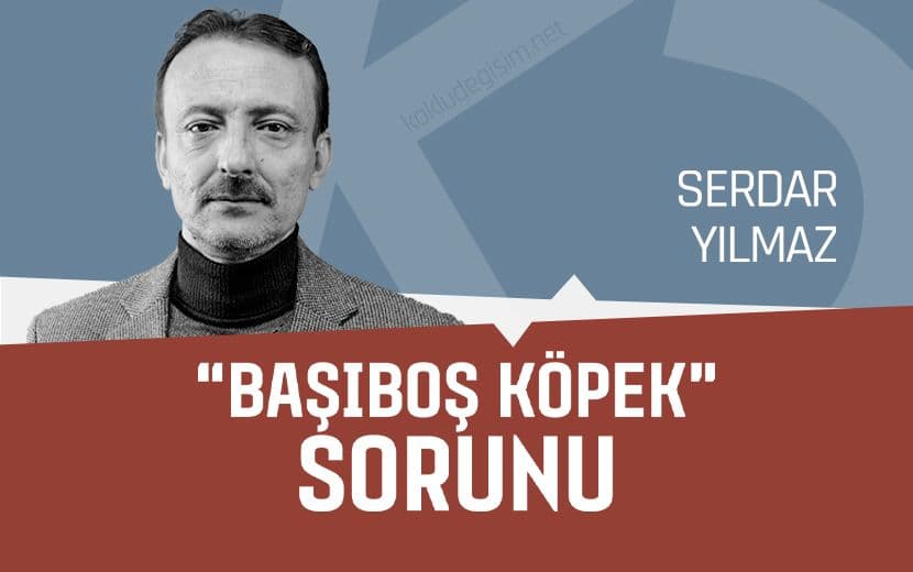 “Başıboş Köpek” Sorunu