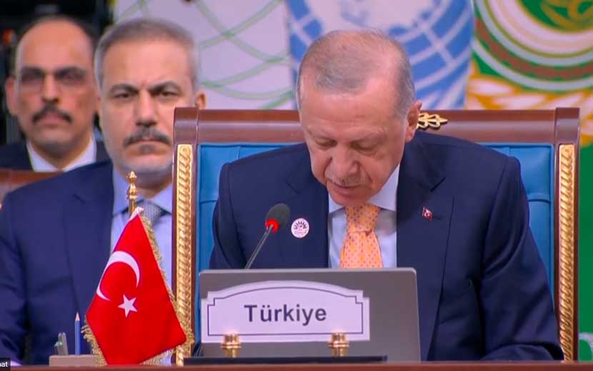 Erdoğan’dan, D-8 Zirvesi'nde Suriye Çağrısı