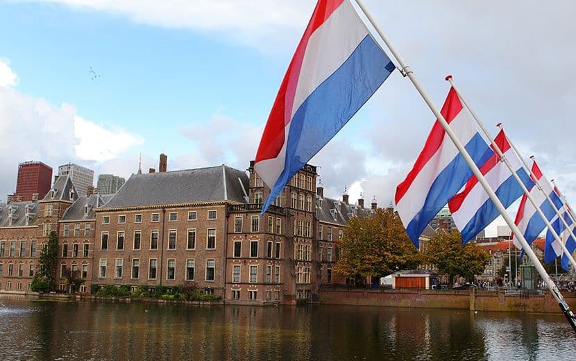 Laik Demokratik Hollanda’da Her 8 Günde Bir Kadın Öldürülüyor