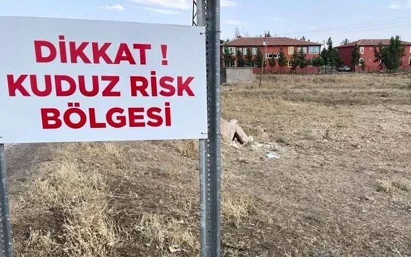 Şanlıurfa’da Kuduz Paniği: İnsanlar Can, Hayvan Severler Köpek Derdinde